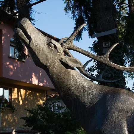 Vendégház Elena 3*