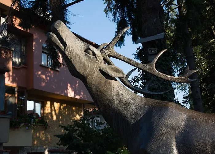 Къща за гости Elena 3*