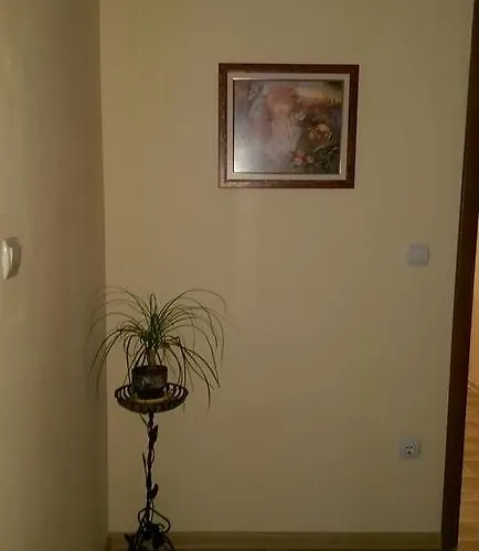 Къща за гости Elena Велинград